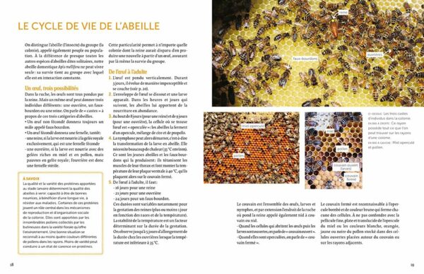 Installer un premier rucher - Pratiquer une apiculture respectueuse du bien-être des abeilles avec la ruche basse consommation – Image 4