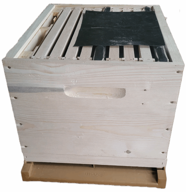 Nourrisseur cadre en bois isolé @RBC – Ruche Dadant – Image 4