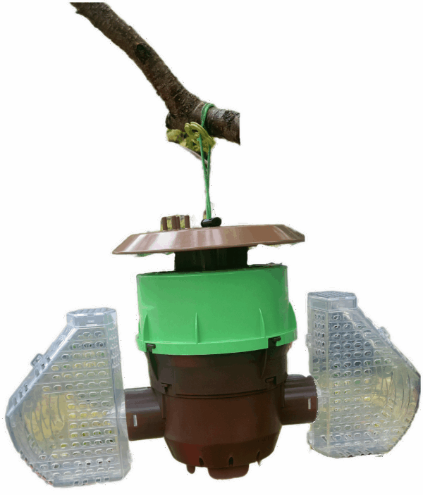 VeluTrap BeeVital – Piège frelon asiatique sélectif