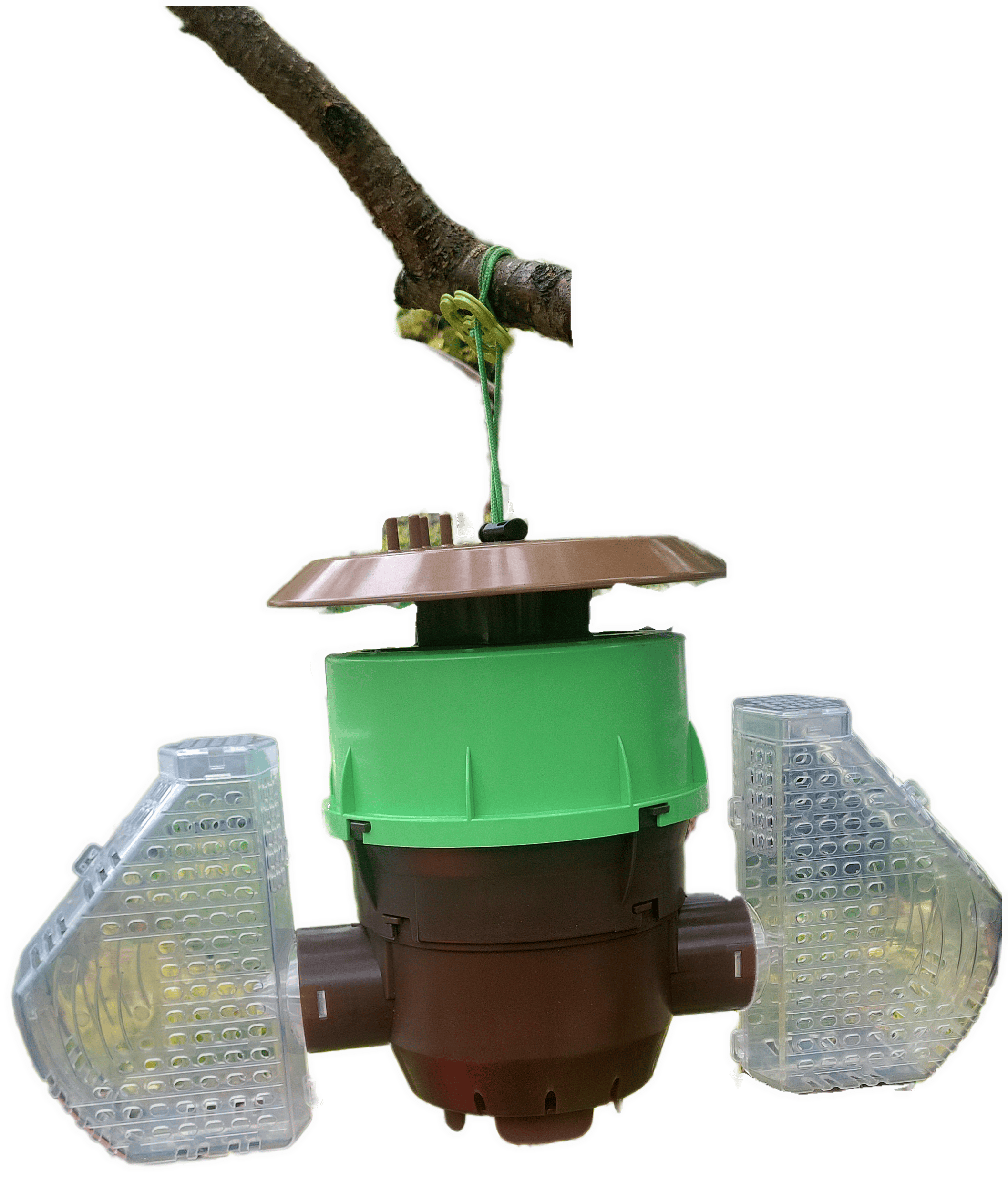 VeluTrap BeeVital – Piège frelon asiatique sélectif